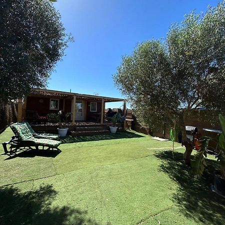 La Almadraba Del Palmar II El Palmar (Andalucia) Ngoại thất bức ảnh