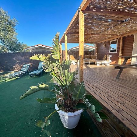La Almadraba Del Palmar II El Palmar (Andalucia) Ngoại thất bức ảnh