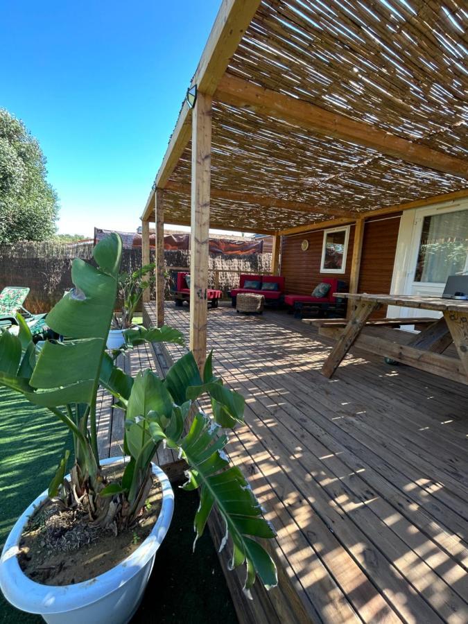 La Almadraba Del Palmar II El Palmar (Andalucia) Ngoại thất bức ảnh