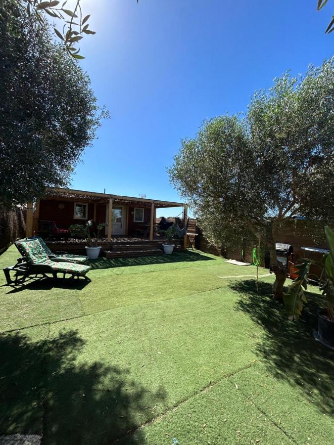 La Almadraba Del Palmar II El Palmar (Andalucia) Ngoại thất bức ảnh